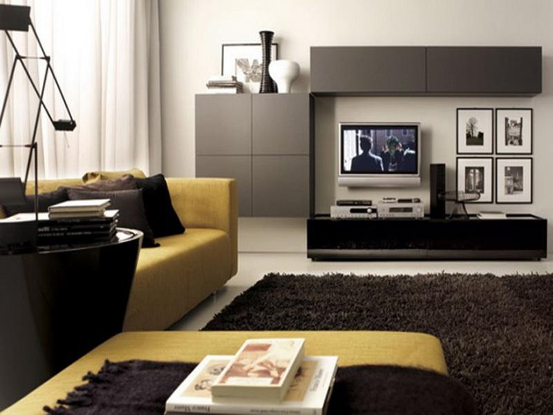 Contemporary Living Room Apartment